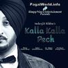  Kalla Kalla Pech - Inderjit Nikku - 190Kbps  Poster