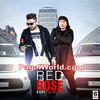  Red Rose - Dr Zeus n RAVI - 190Kbps Poster