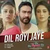  Dil Royi Jaye - De De Pyaar De Poster