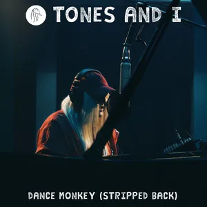  Dance Monkey Song Poster